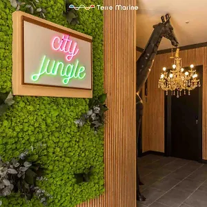 https://city-jungle-terre-marine.hotelitalianriviera.com